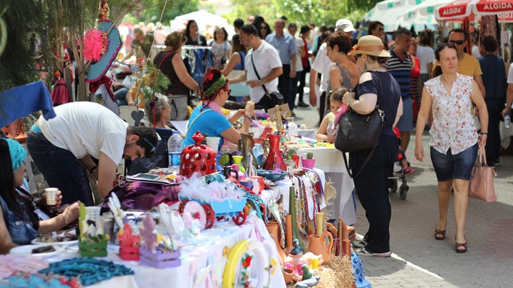 Festival Stant Alanı